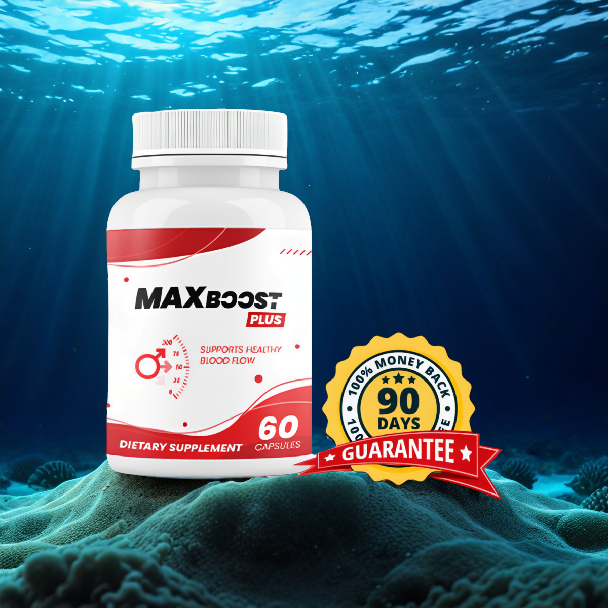 MaxBoost Plus 1 Bottle