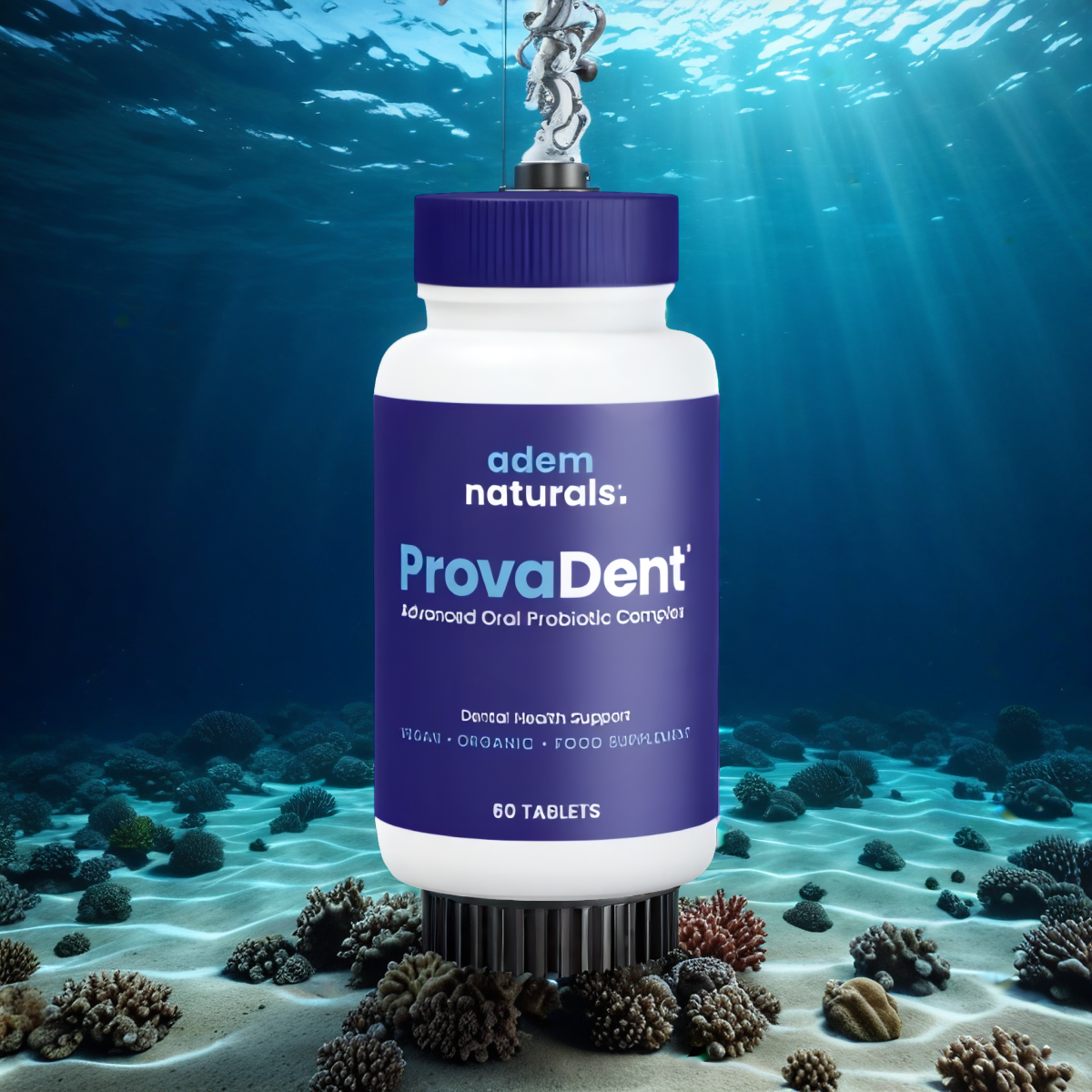 ProvaDent 1 bottle