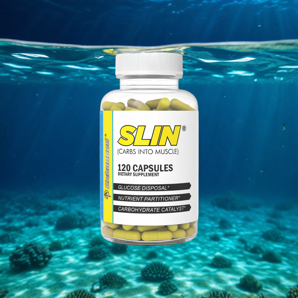 Slin Glucose Disposal - 